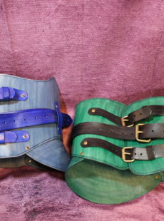 Picture of kidney belts