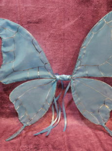 Picture of children's butterfly fairy wings