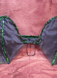 picture of dragon wings