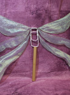 Picture of dragonfly fairy wings