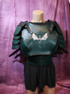 Picture of shield maiden breastplate