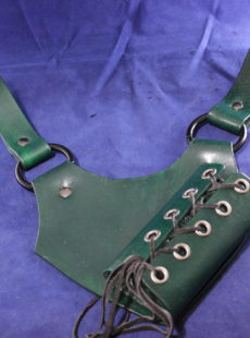 Picture of sword frog