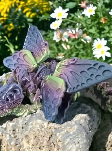 Winged Baby Butterfly Dragon